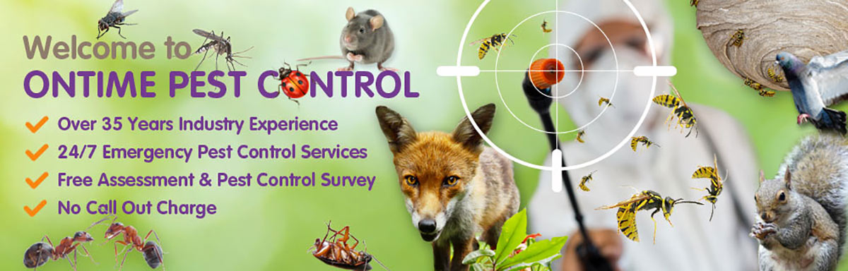 Welcome to Ontime Pest Control